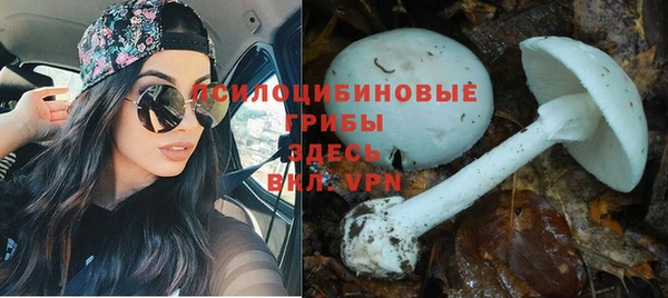 дживик Алзамай