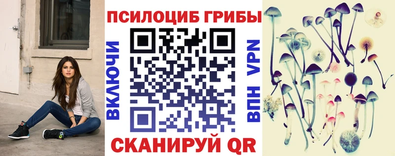 Псилоцибиновые грибы Magic Shrooms  Купить  Ладушкин 